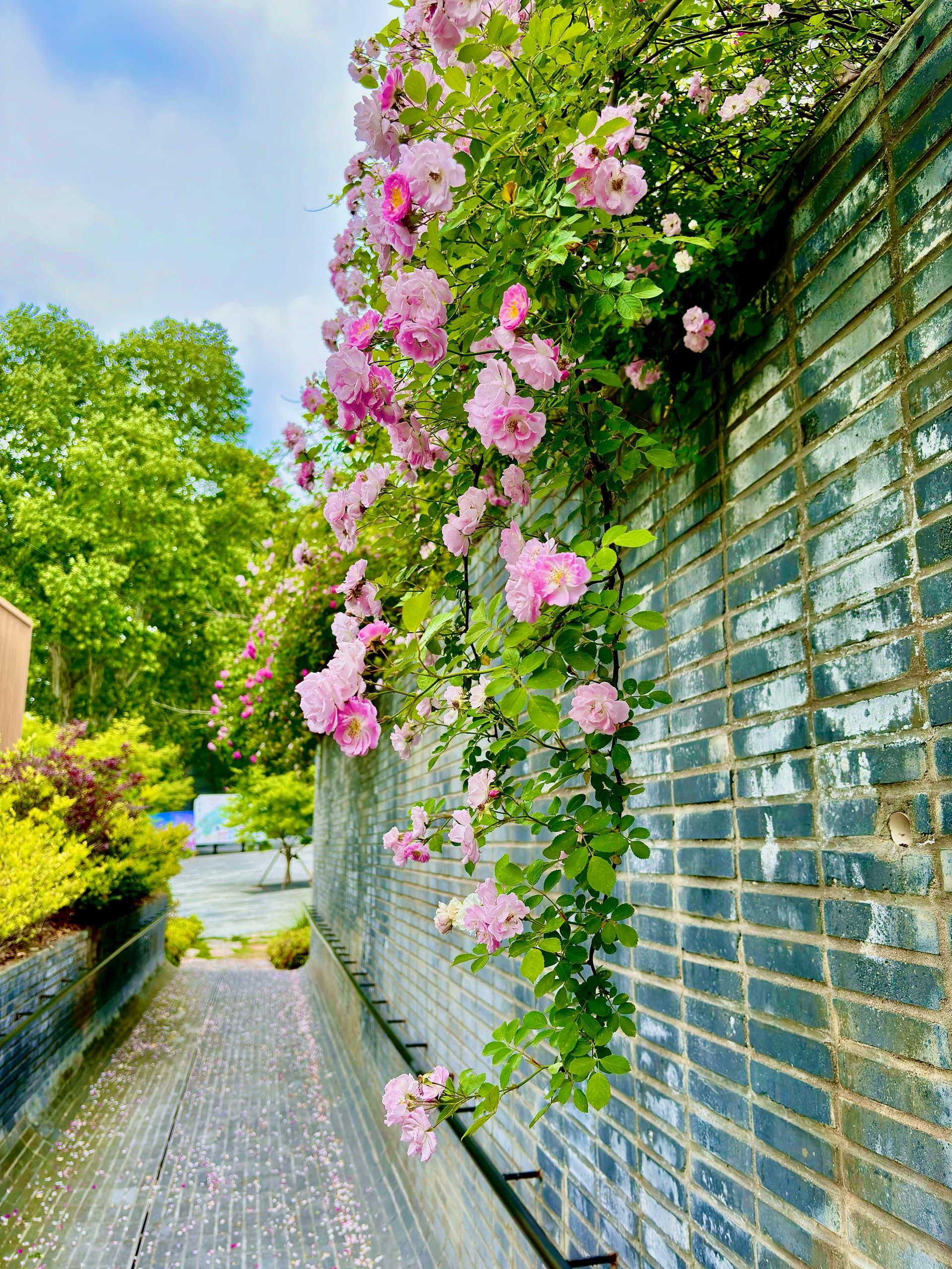 Jiangsu.Garden.Expo.Park.09.jpg